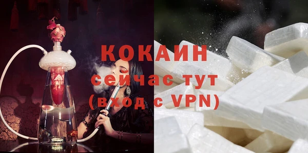 дурь Няндома