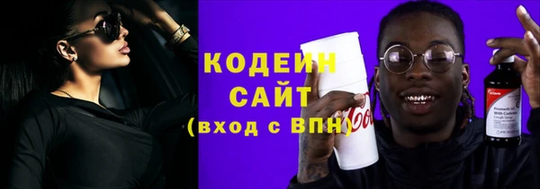 дурь Няндома