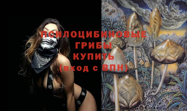 стаф Абдулино