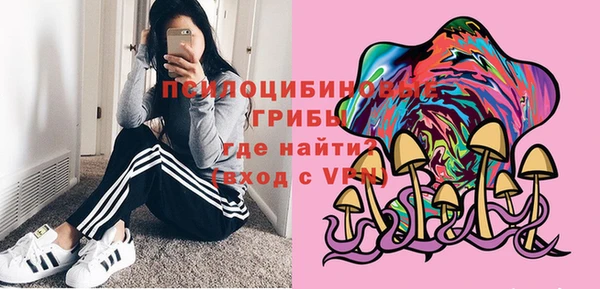 стаф Абдулино