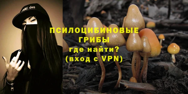 спайс Осинники